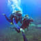 1577102290 scuba diving at menjangan island.jpg?w=60&h=60&dpr=1
